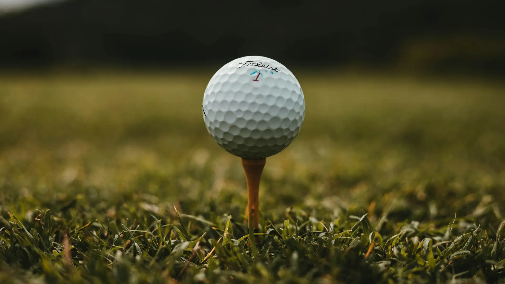 Golfbal op de tee